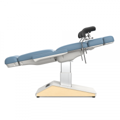 TT-540 Electric Beauty Chair SPA OB-GYN Treatment Chair with Stirrup