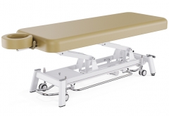 Echo Flat Salon Top Electric Massage Table