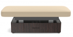 Infinity Flat Electric Massage Bed Medical Spa Treatment Table