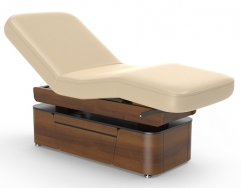 Lynn-Heaven Salon Top Luxury Electric Spa Treatment Table