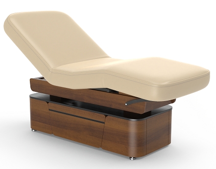 Lynn-Heaven Salon Top Luxury Electric Spa Treatment Table