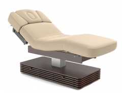 NESS-B Electric Spa Treatment Table Massage Bed Couch