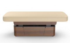 Lynn-Heaven Luxury Electric Spa Treatment Table Powerlift Massage Table