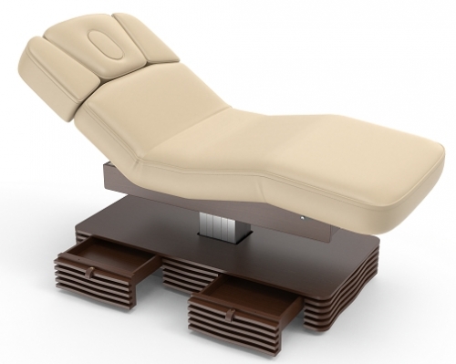 NESS-B Electric Spa Treatment Table Massage Bed Couch