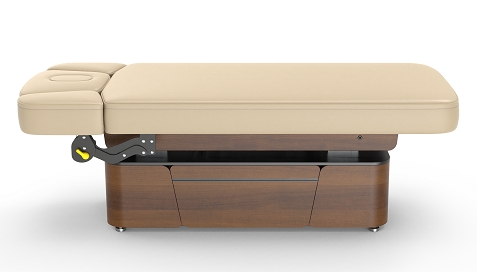 Lynn-Heaven Basic Electric Spa Treatment Table Lift Massage Table