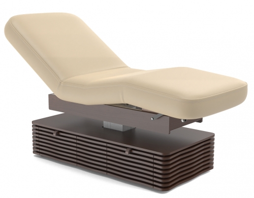 NESS-C Electric Salon Spa Treatment Table Massage Bed Couch
