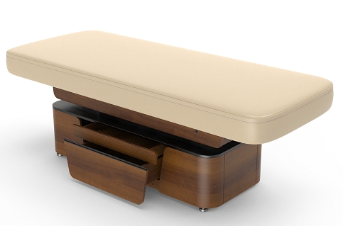 Lynn-Heaven Luxury Electric Spa Treatment Table Powerlift Massage Table
