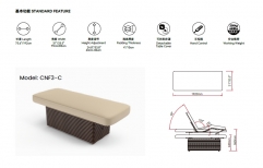 NESS-D Deluxe Electric Spa Treatment Fully Lift Massage Table