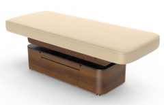 Lynn-Heaven Luxury Electric Spa Treatment Table Powerlift Massage Table