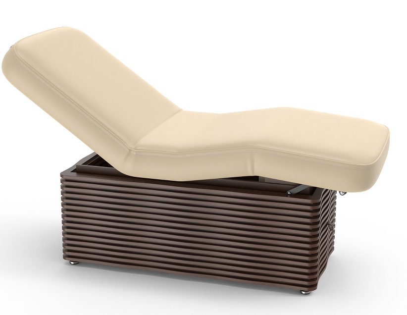 NESS-D Deluxe Electric Spa Treatment Fully Lift Massage Table