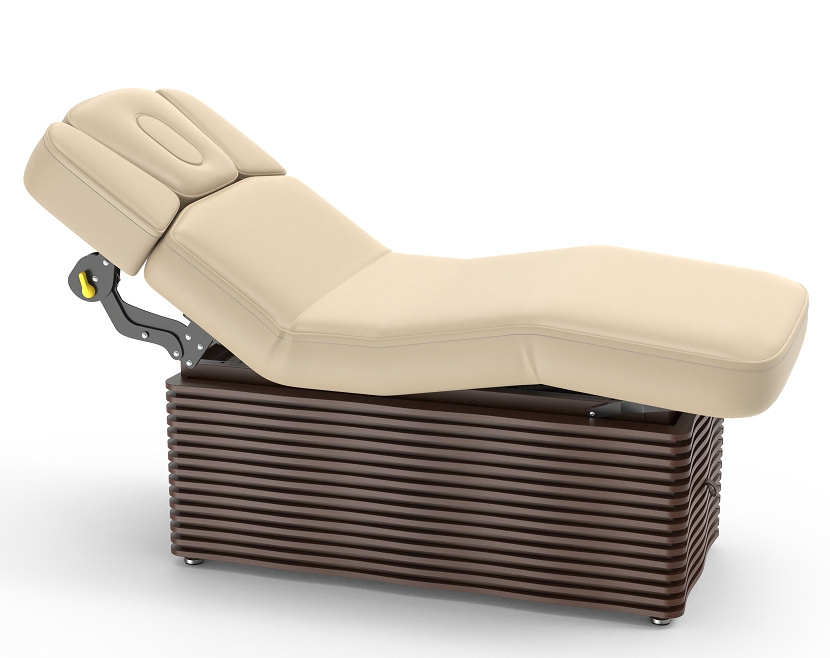 NESS-D Luxirous Electric Spa Treatment Table Massage Bed Couch