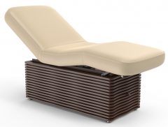 NESS-D Deluxe Electric Spa Treatment Fully Lift Massage Table