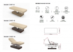 NESS-B Powerlift Massage Bed Fully Electric Spa Treatment Table
