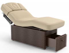 NESS-D Luxirous Electric Spa Treatment Table Massage Bed Couch