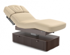 NESS-C Electric Salon Spa Treatment Table Massage Bed Couch