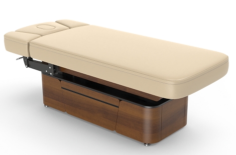 Lynn-Heaven Basic Electric Spa Treatment Table Lift Massage Table
