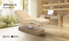 NESS-B Powerlift Massage Bed Fully Electric Spa Treatment Table