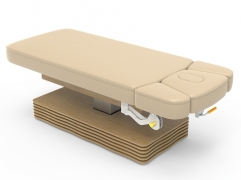 NESS-B Electric Spa Treatment Table Massage Bed Couch