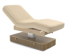 NESS-B Powerlift Massage Bed Fully Electric Spa Treatment Table