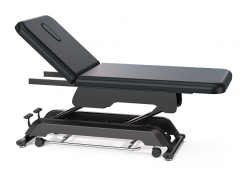 Premier Russel 2-Section Electric Treatment Table Lift Massage Bed Couch