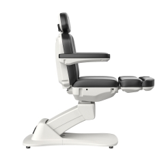 Morley 431 Custom Color Electric Facial Bed Electric Beauty Chair Salon Furniture Wholesale Supplier