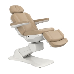 Morley 441 Factory Direct Electric Facial Chair Adjustable Beauty Salon Massage Bed Wholesale